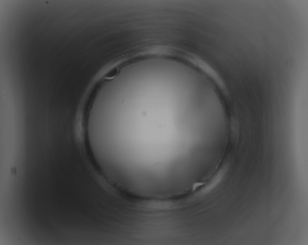 X0000100910981200807081120