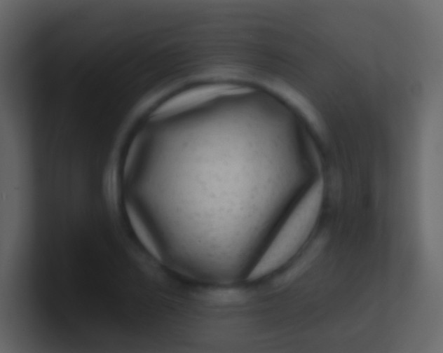 X0000100910982200807081120