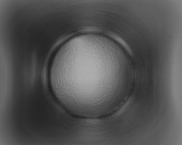 X0000100910983200807081120