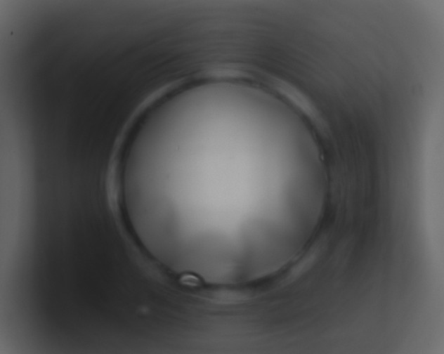 X0000100910984200807081120