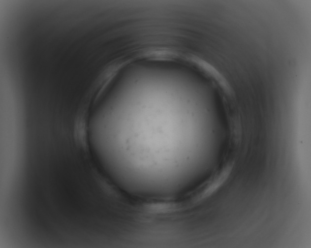 X0000100910985200807081120