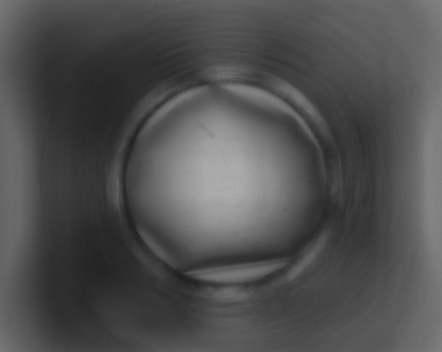 X0000100910986200807081120