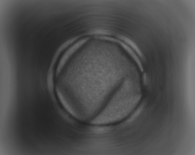 X0000100910987200807081120