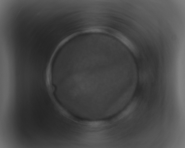 X0000100910988200807081120