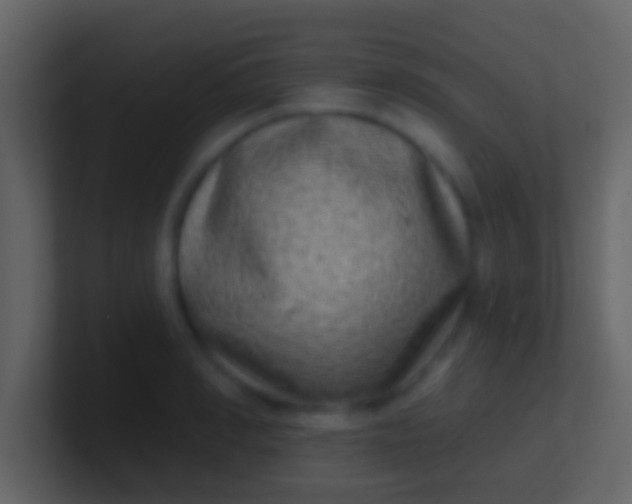 X0000100910990200807081120