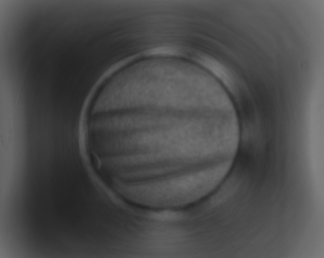 X0000100910992200807081120