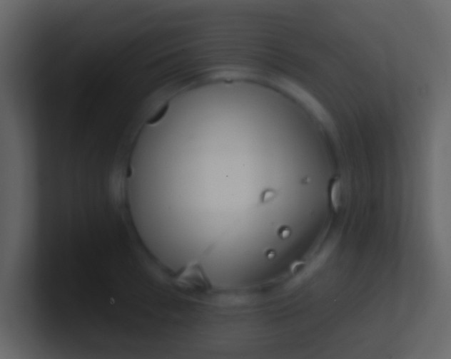 X0000100910993200807081120
