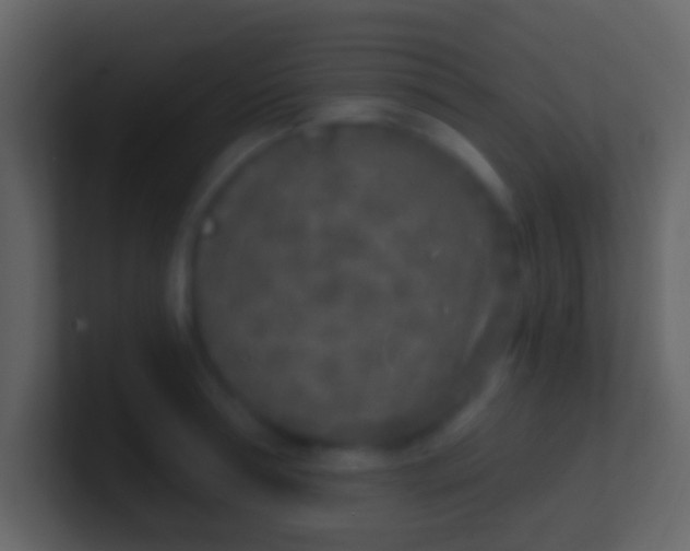 X0000100910994200807081120