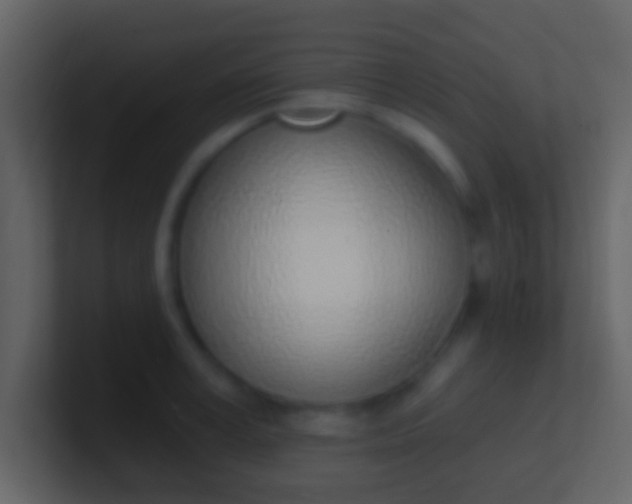 X0000100910995200807081120
