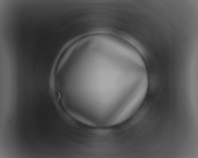 X0000100910996200807081120