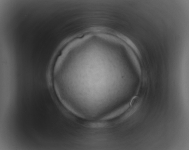 X0000100910997200807081120