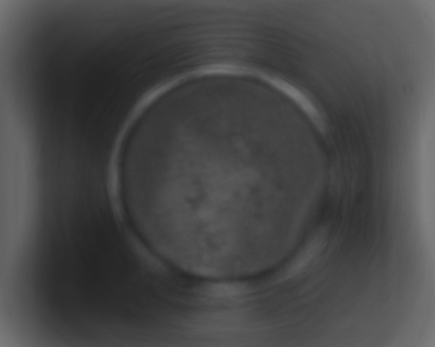 X0000100910998200807081120