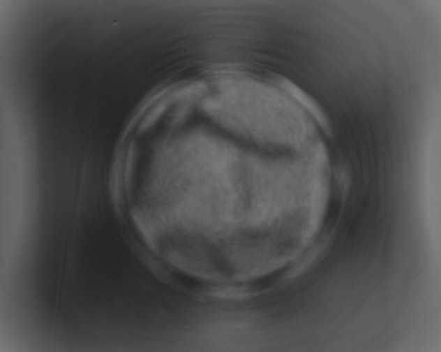 X0000100911002200807081120