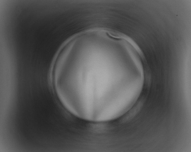 X0000100911004200807081120