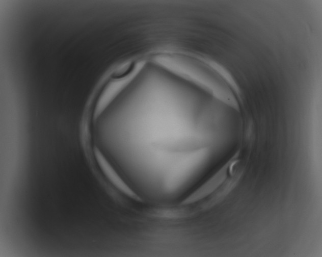 X0000100911005200807081120