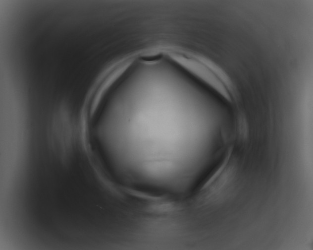 X0000100911006200807081120