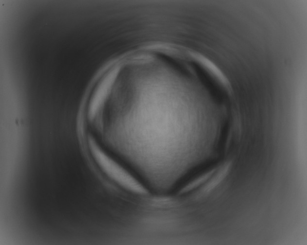 X0000100911007200807081120