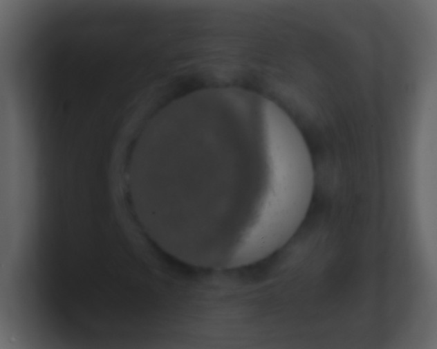 X0000100911009200807081119