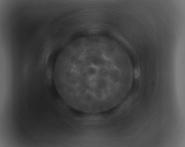 X0000100911011200807081119