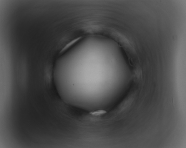 X0000100911012200807081119