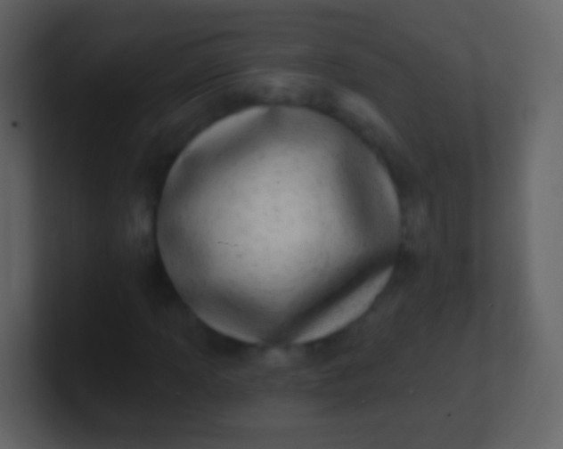 X0000100911013200807081119