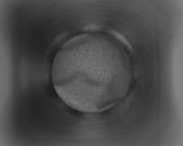 X0000100911015200807081119