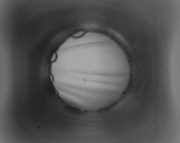 X0000100911016200807081119