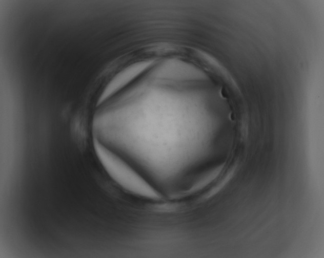 X0000100911017200807081119