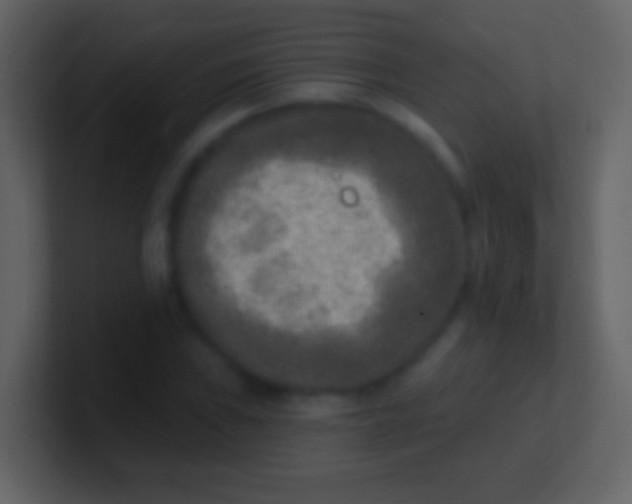 X0000100911019200807081119