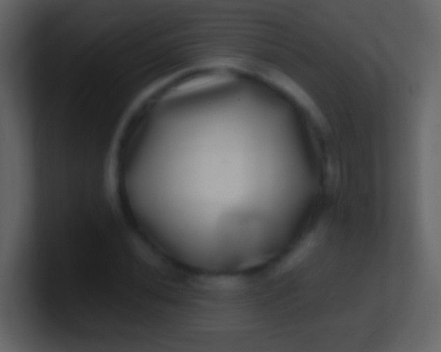 X0000100911020200807081119