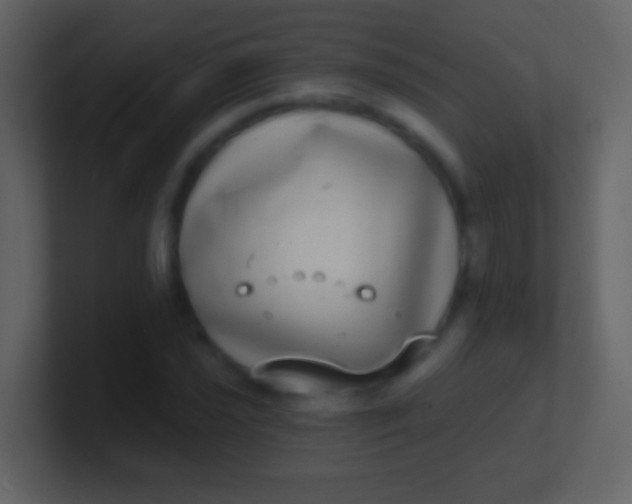 X0000100911021200807081119