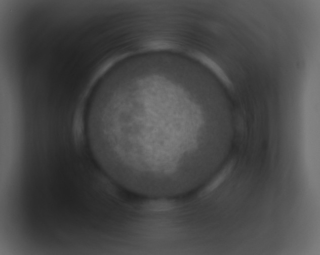 X0000100911023200807081120
