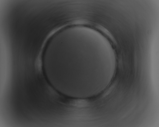 X0000100911024200807081120