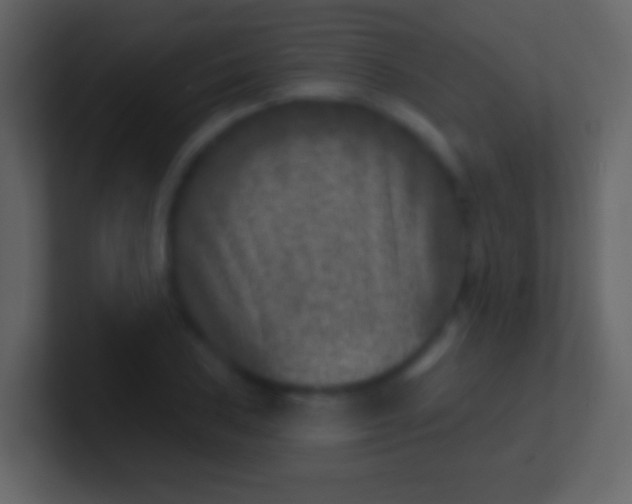 X0000100911027200807081120