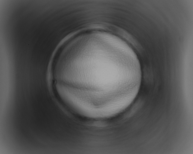 X0000100911028200807081120