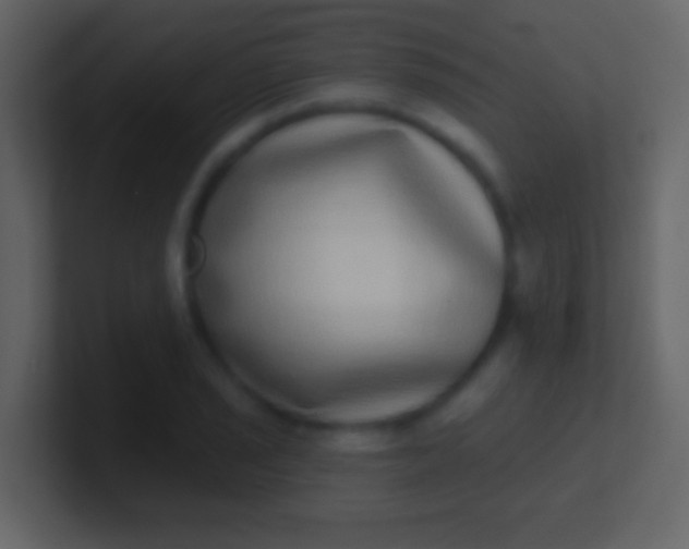 X0000100911029200807081120
