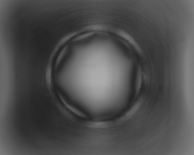 X0000100911030200807081120