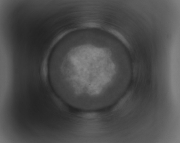 X0000100911031200807081120