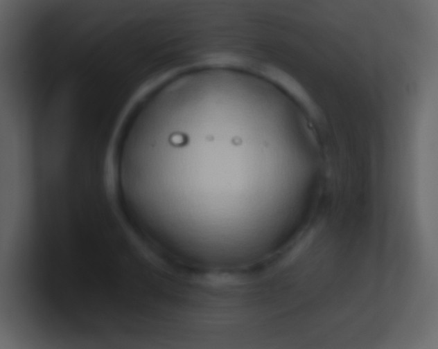 X0000100911032200807081120