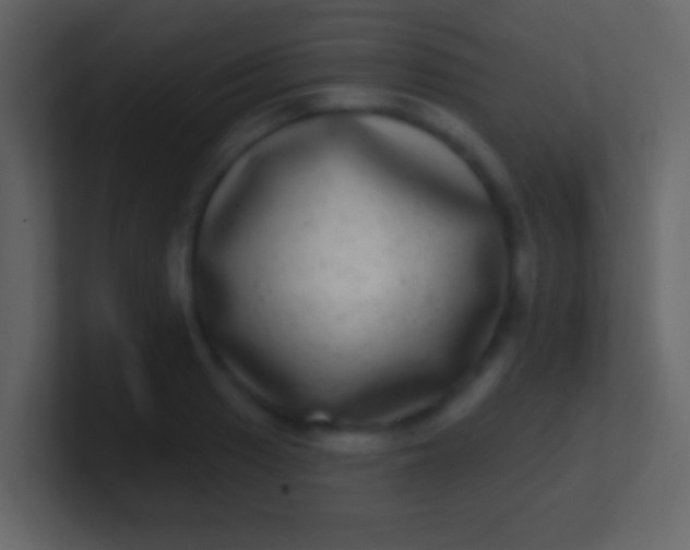 X0000100911033200807081120