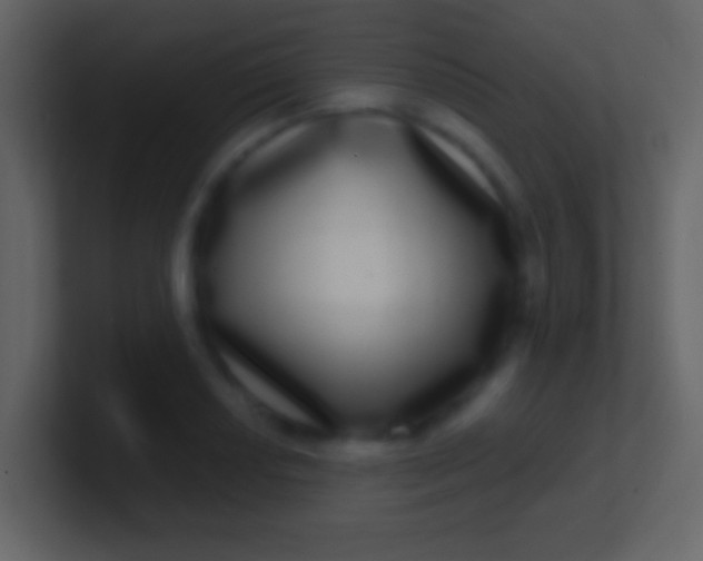 X0000100911034200807081120