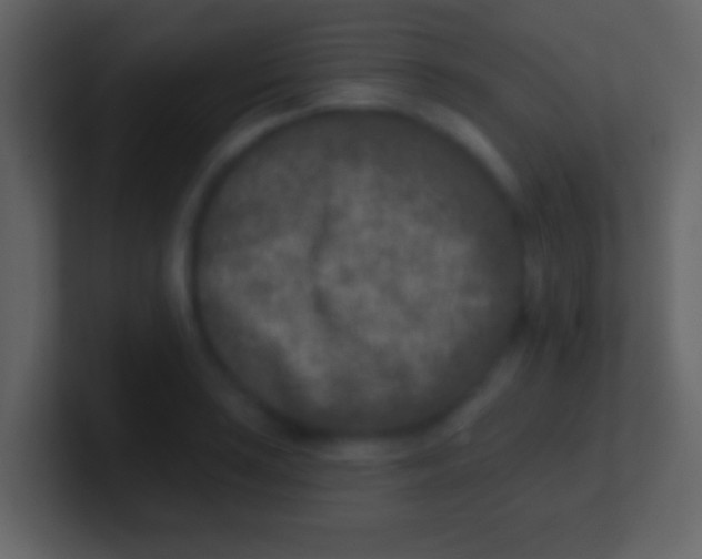 X0000100911035200807081120