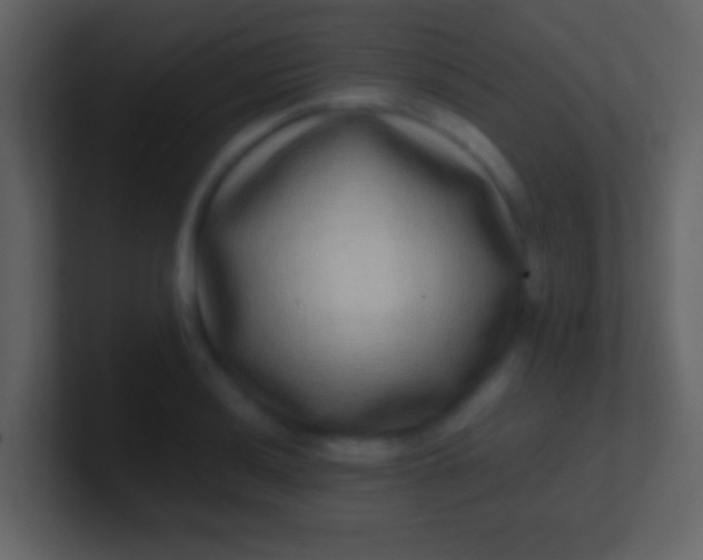 X0000100911036200807081120