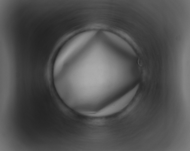 X0000100911038200807081120