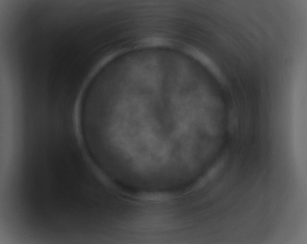 X0000100911039200807081120