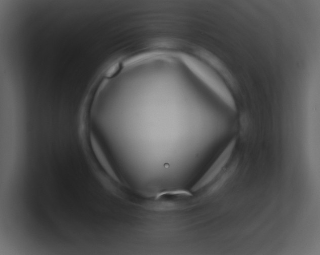 X0000100911042200807081120