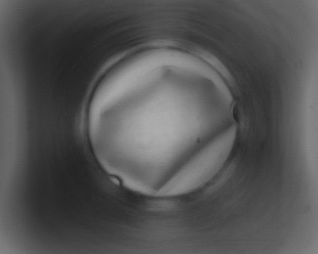 X0000100911044200807081120