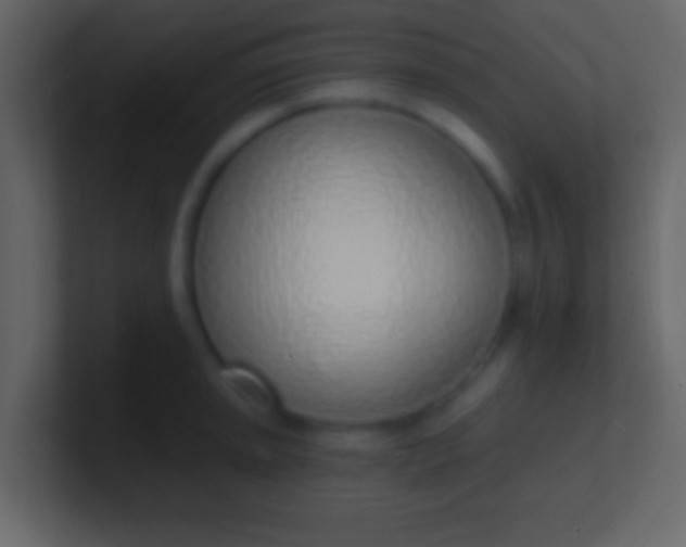 X0000100911045200807081120