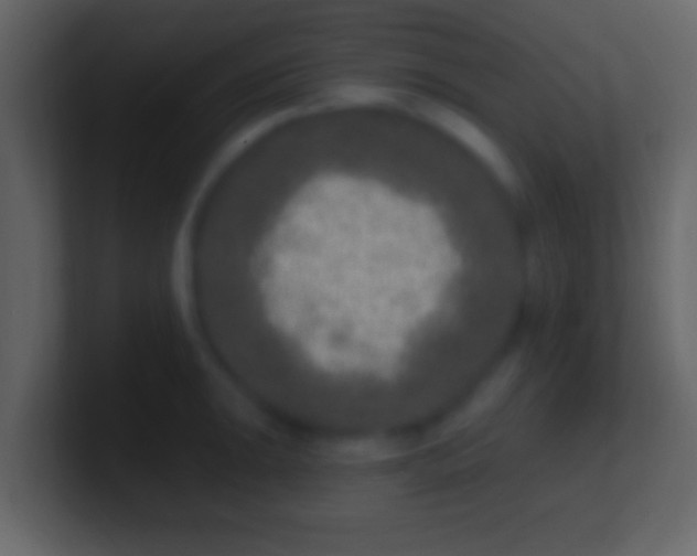 X0000100911047200807081120
