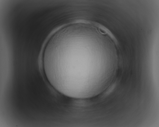 X0000100911048200807081120